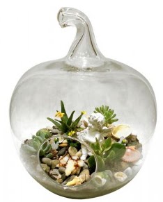 Orta boy elma terrarium 5 kakt�s  Ankara demetevler cicek , cicekci 