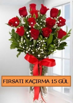 15 İthal kırmızı gül büyük başlı orjinal  Ankara demetevler çiçek gönderme çiçek siparişi sitesi 