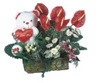  Ankara yurti�i ve yurtd��� �i�ek sipari�i  Lilyum ve oyuncakli arajman 
