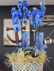 4 dallı özel mavi orkide  Ankara demetevler çiçek siparişi vermek 
