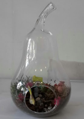 Armut orta boy cam terrarium tanzim  Ankara demetevler çiçek yolla çiçekçi telefonları 