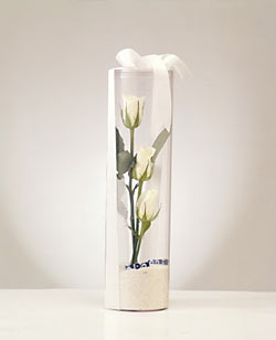  Ankara demet çiçek gönderme  Nazar boncuklu 3 beyaz gül