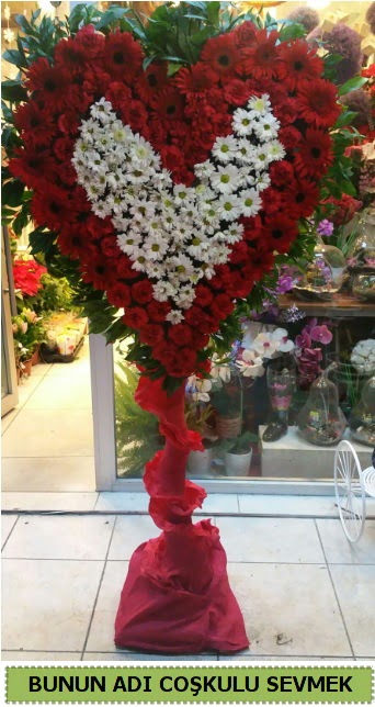 Coşkulu bir aşk çiçeği  demetevler çiçekçi Ankara ucuz çiçek gönder 