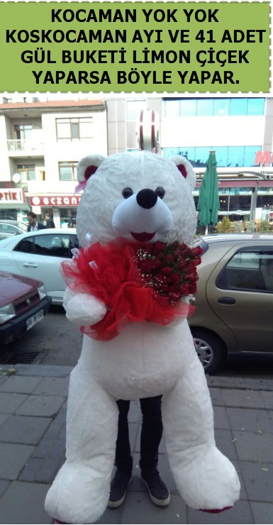 Koskocaman beyaz ayı ve 25 adet gül  Ankara demetevler çiçek gönderme çiçek siparişi sitesi 