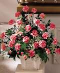  Ankara demetevler cicek , cicekci  Minyat�r ve pembe karanfiller