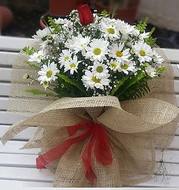 Papatya 1 adet kırmızı gül buketi  demetevler çiçek yolla Ankara çiçekçiler 