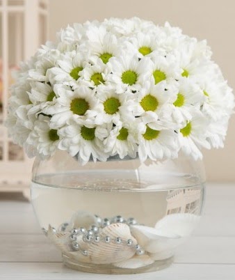 Fanusta beyaz Papatya  Ankara demetevler çiçek satışı  