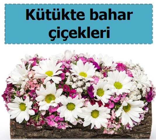 Kütük içerisinde kır çiçekleri  Ankara çiçek , çiçekçi , çiçekçilik 