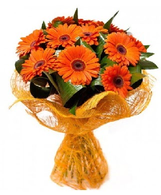 11 adet turuncu gerbera buketi  demetevler çiçek yolla Ankara çiçekçiler 