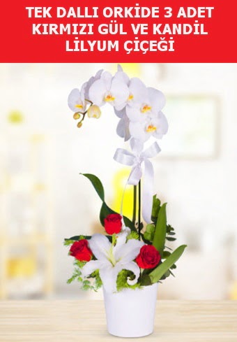 Tek dallı orkide 3 gül ve kandil lilyum  Ankara demetevler çiçek siparişi çiçek yolla 