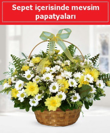 Sepet içerisinde mevsim papatyaları  demetevler çiçekçi Ankara ucuz çiçek gönder 
