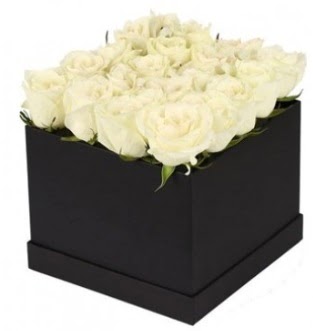 Kare kutuda 19 adet beyaz gül aranjmanı  Ankara demetevler çiçek yolla çiçekçi telefonları 
