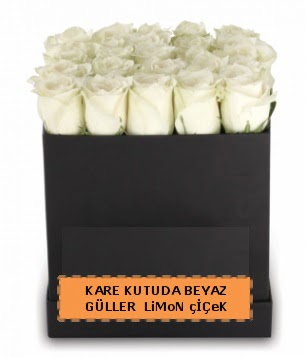 Kare kutuda 17 adet beyaz gül tanzimi  Ankara demetevler çiçek gönderme çiçek siparişi sitesi 