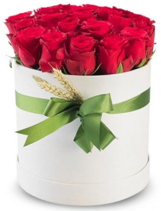 Özel kutuda 25 adet kırmızı gül çiçeği  Ankara demetevler çiçek satışı 
