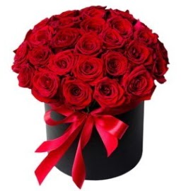 25 adet kırmızı gül kız isteme çiçeği  Ankara internetten çiçek satışı 