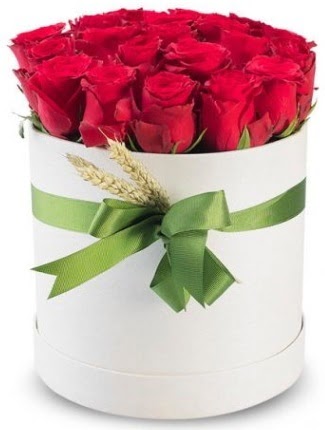 25 adet özel kutuda kırmızı gül  Ankara cicekciler , demetevler cicek siparisi  söz çiçekler