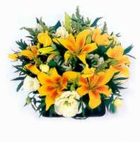  Ankara ucuz �i�ek g�nder �i�ek ma�azas� , �i�ek�i adresleri  Lilyumlardan bir sepet �zel