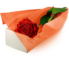  Ankara ucuz çiçek gönder çiçek mağazası , çiçekçi adresleri  Kutuda tek gül özel kisilere
